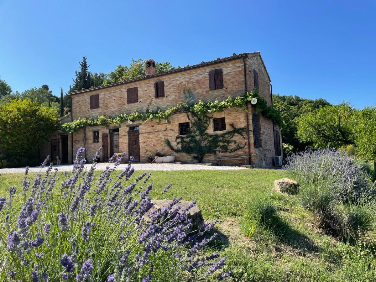 L'Infinito Bed & Breakfast Mombaroccio Exterior photo