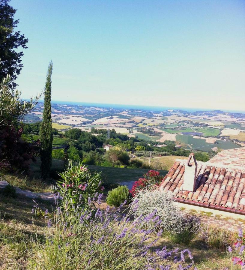 L'Infinito Bed & Breakfast Mombaroccio Exterior photo